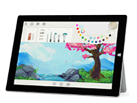 博罗Surface 无法开启、Windows 无法启动或电池无法充电
